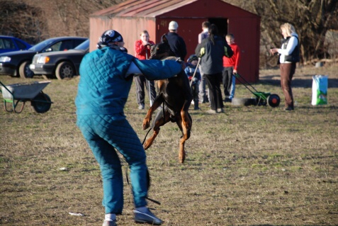 Training in Estonia 30.3 - 1.4. 2007